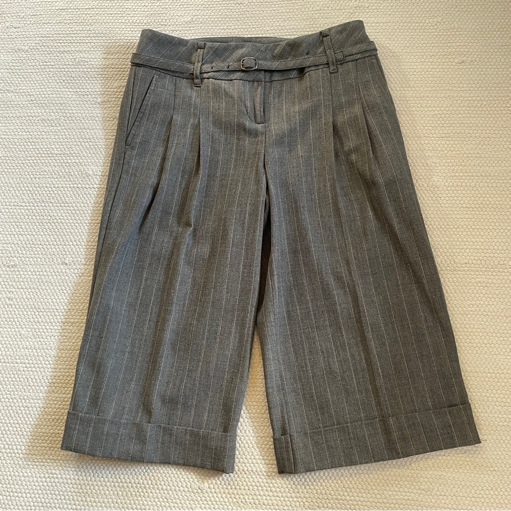 Ann Taylor LOFT Petite Pinstriped Pleated Knee Length Cuff Pants With Belt 2P